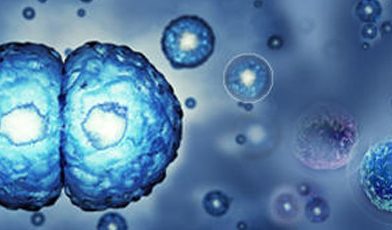 Nuove cellule, corpo più giovane di 10 anni Nuove cellule, corpo più giovane di 10 anni