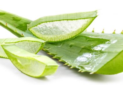 Aloe: un pò di storia Aloe: un pò di storia