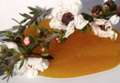 Miele di Melata, il Manuka italiano dalle superproprietà antibatteriche e nutritive