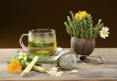 I preziosi e utili composti delle piante per il nostro benessere