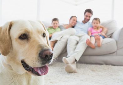 IL MONDO DEGLI ANIMALI DA COMPAGNIA – Valepassaparola IL MONDO DEGLI ANIMALI DA COMPAGNIA – Valepassaparola
